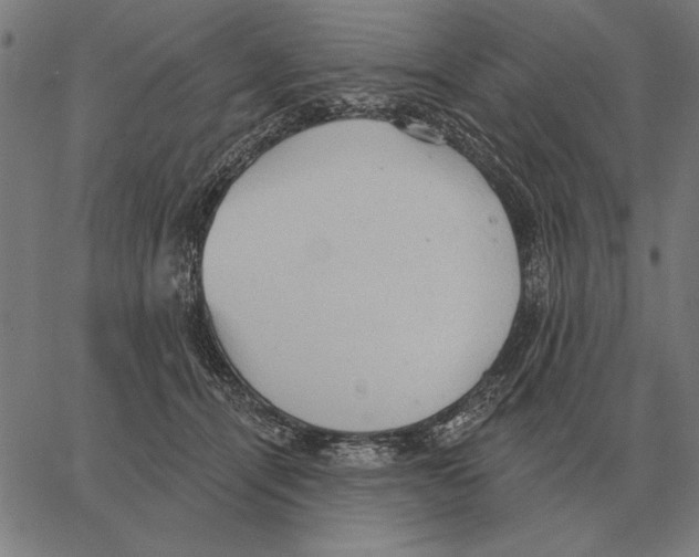 X0000062890464200602101745