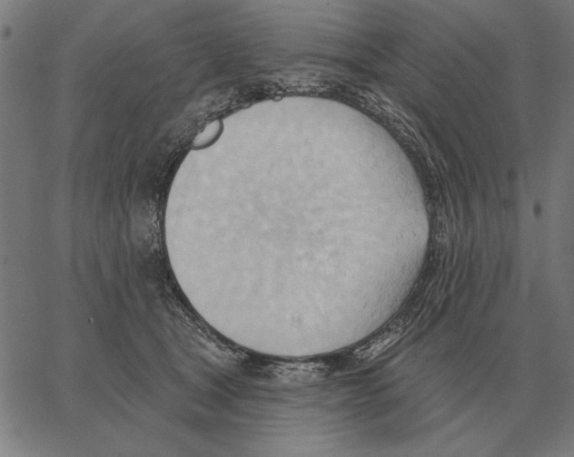 X0000062890465200602101745