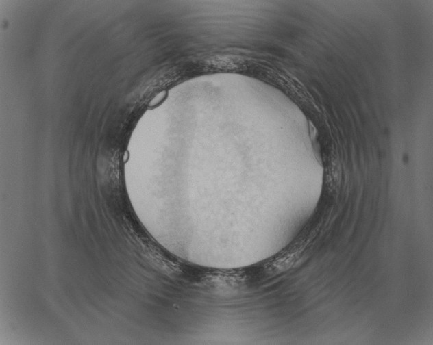 X0000062890466200602101746