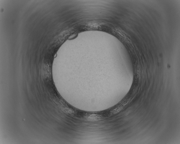 X0000062890467200602101746