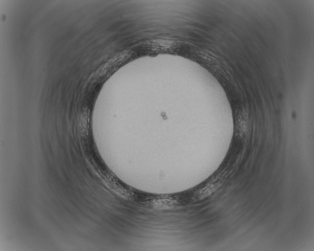 X0000062890468200602101746