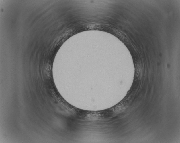 X0000062890470200602101746