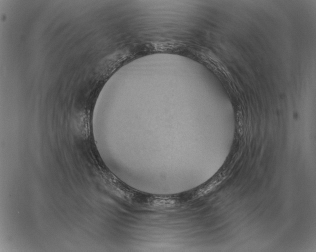 X0000062890471200602101746