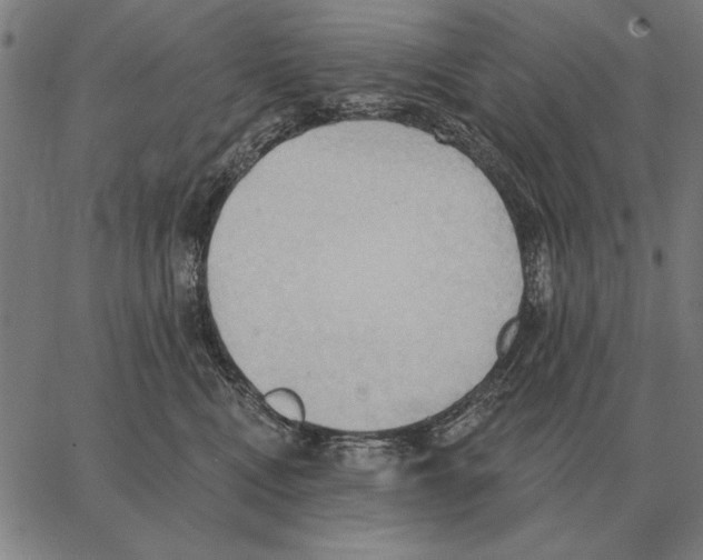 X0000062890472200602101746