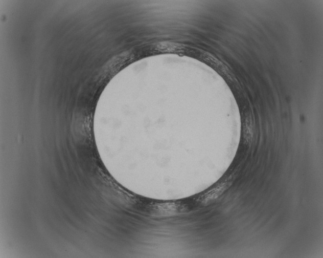 X0000062890473200602101746