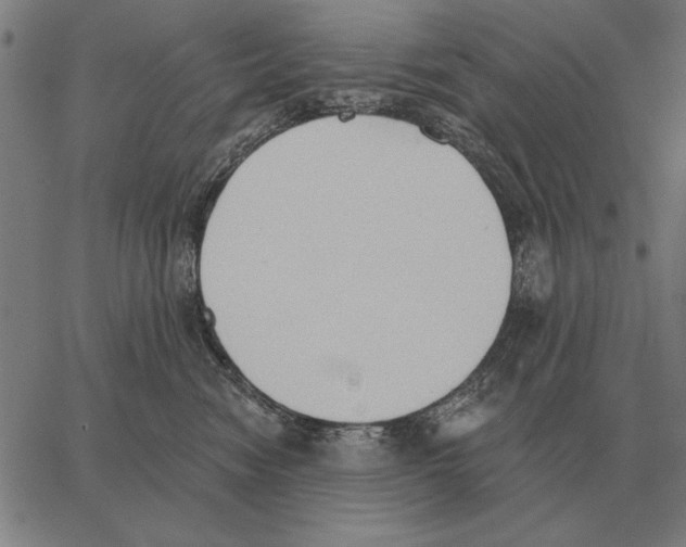 X0000062890474200602101746