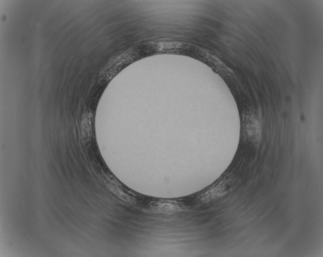 X0000062890475200602101746