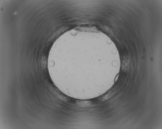 X0000062890476200602101746