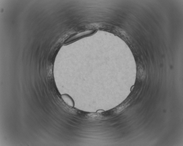 X0000062890477200602101746