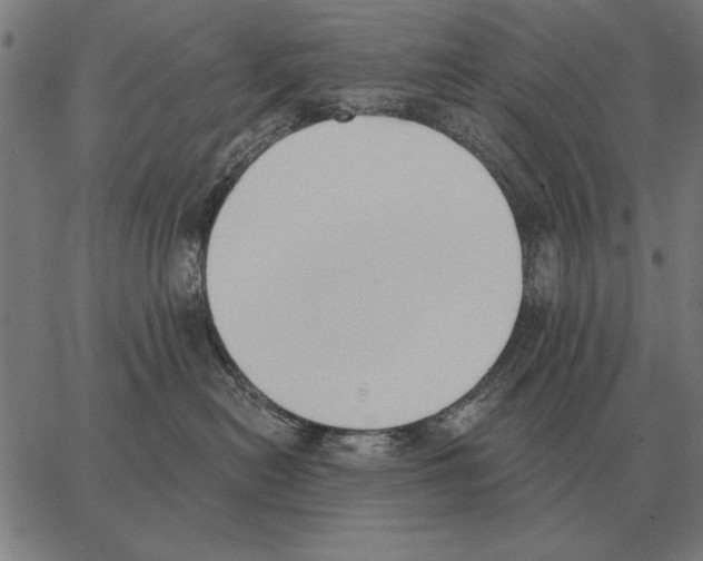 X0000062890478200602101746