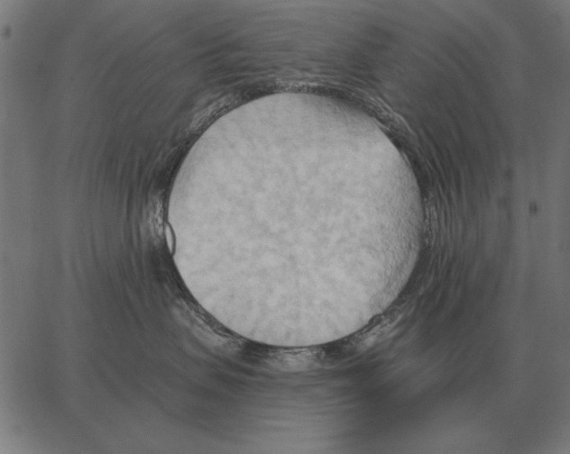 X0000062890479200602101746