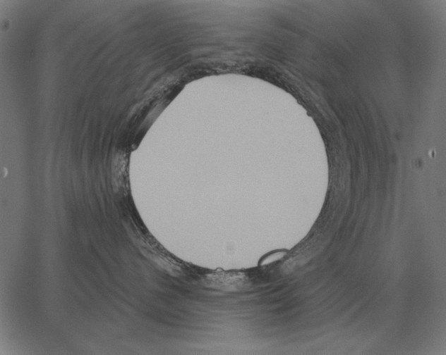 X0000062890480200602101746