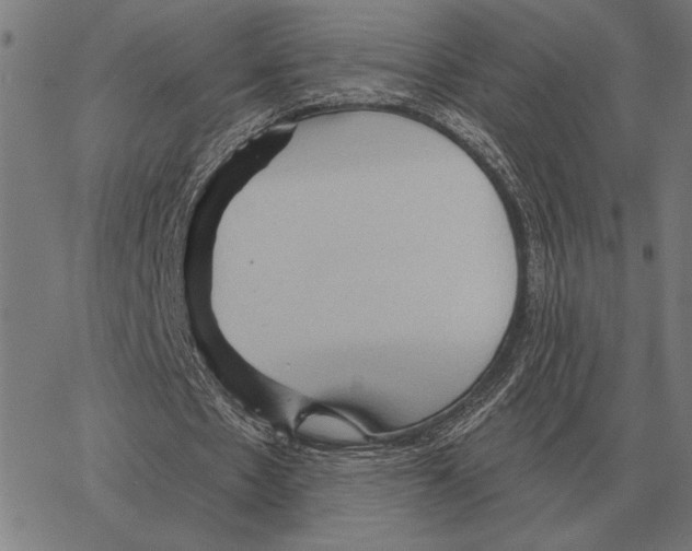 X0000062890481200602101745