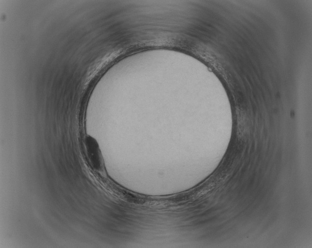 X0000062890482200602101745