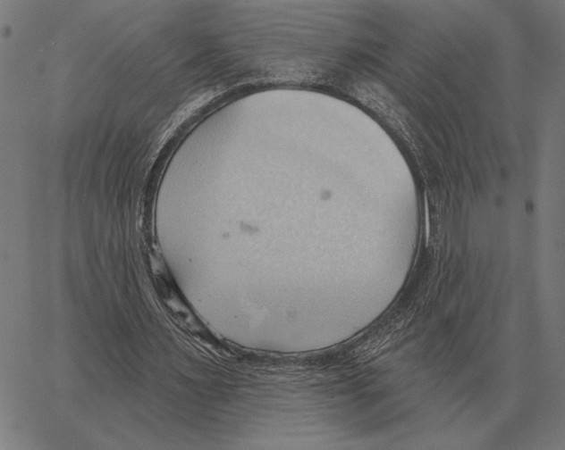 X0000062890483200602101745