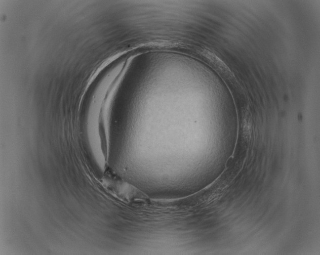 X0000062890484200602101745