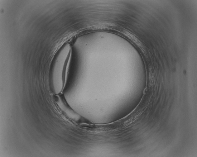 X0000062890485200602101745