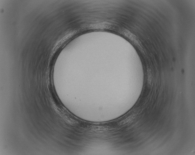 X0000062890486200602101745