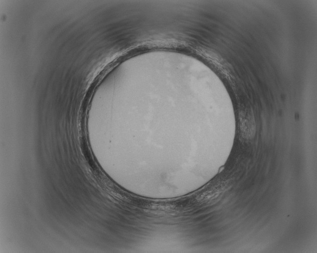 X0000062890487200602101745