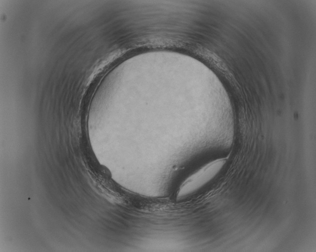 X0000062890488200602101745