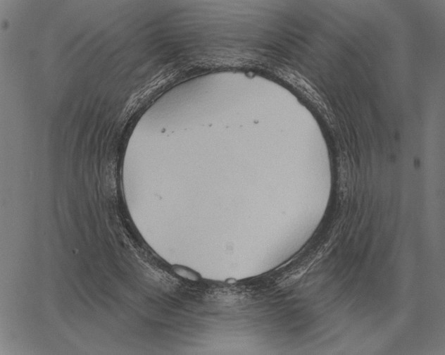 X0000062890489200602101745