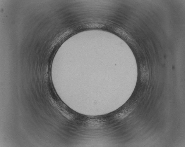 X0000062890490200602101745