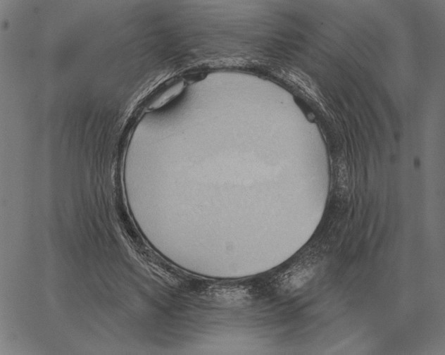 X0000062890491200602101745