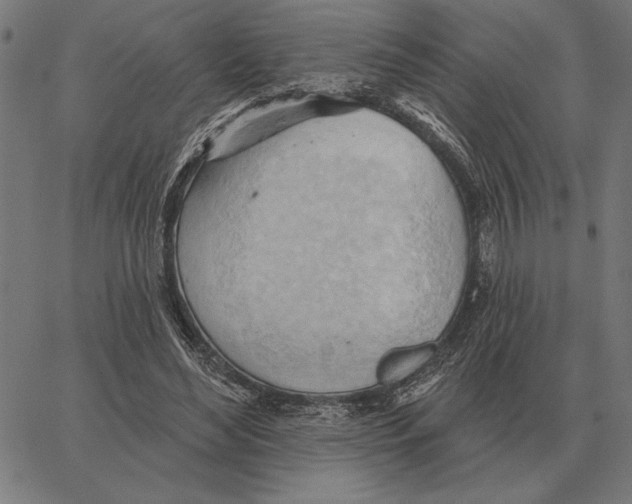 X0000062890492200602101745