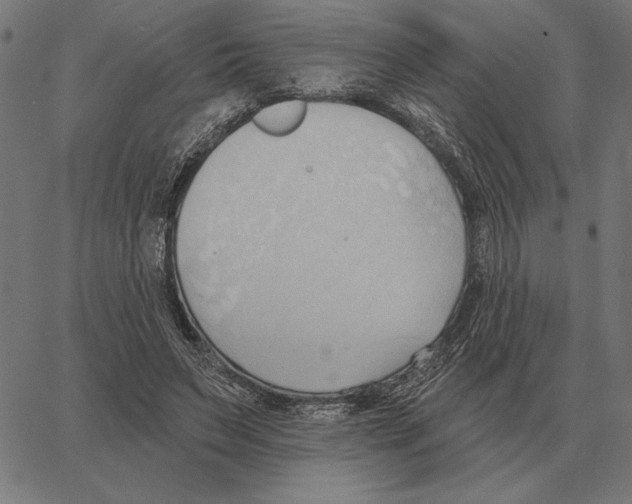 X0000062890495200602101745