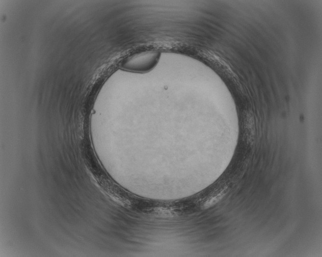 X0000062890496200602101745