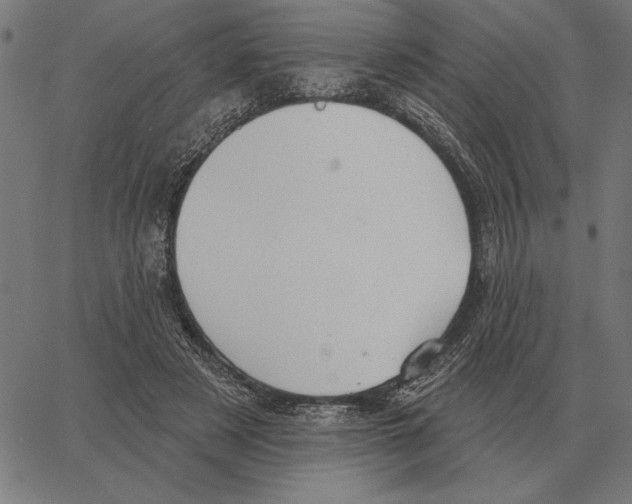 X0000062890497200602101745