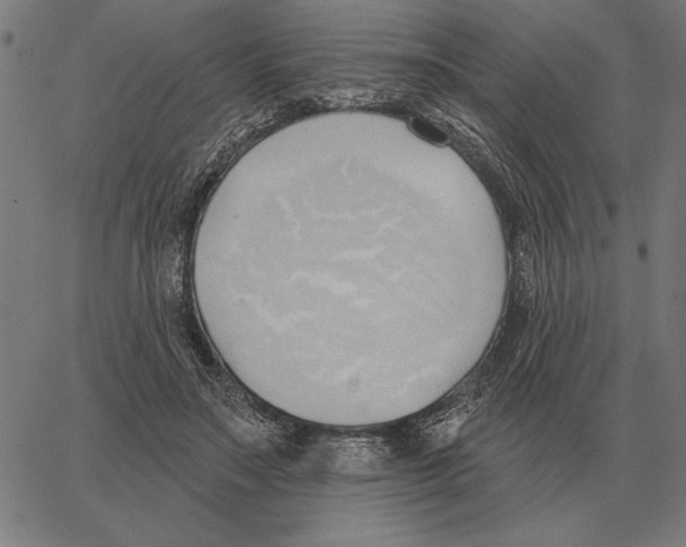 X0000062890499200602101745