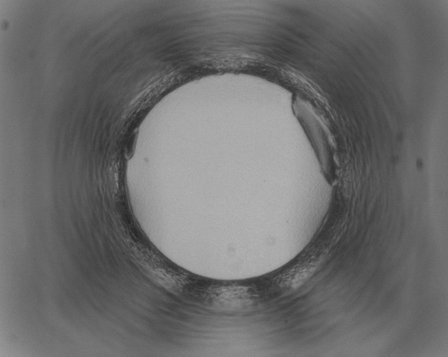 X0000062890501200602101745