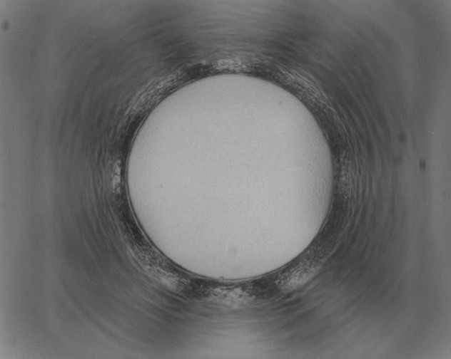 X0000062890502200602101745