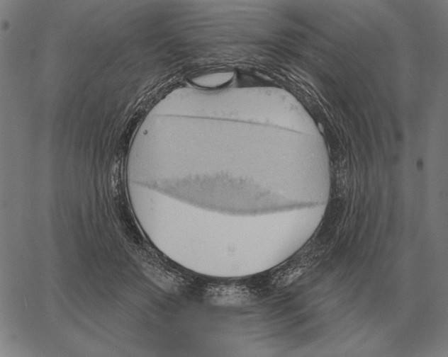 X0000062890503200602101745