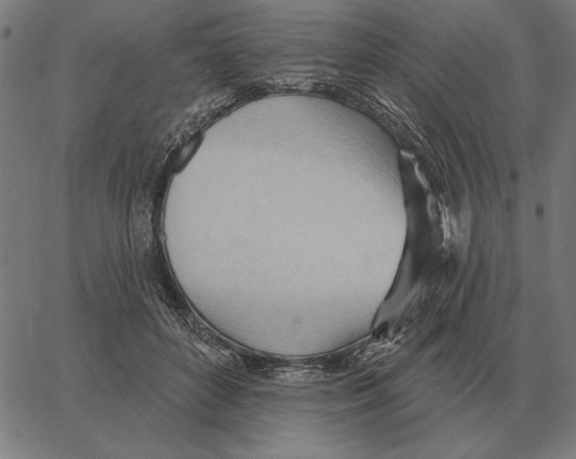 X0000062890504200602101745