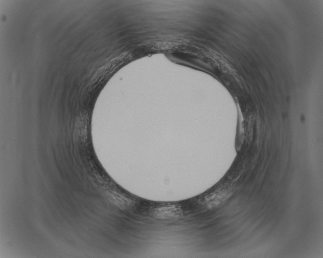 X0000062890505200602101745