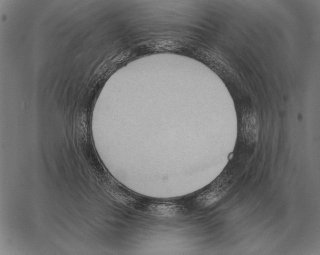 X0000062890506200602101745