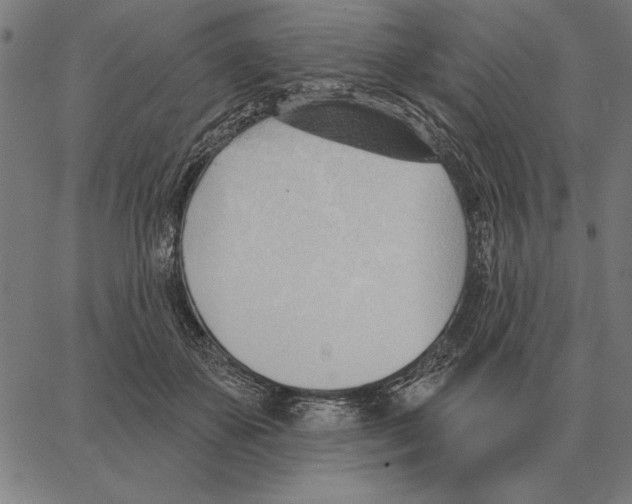 X0000062890507200602101745