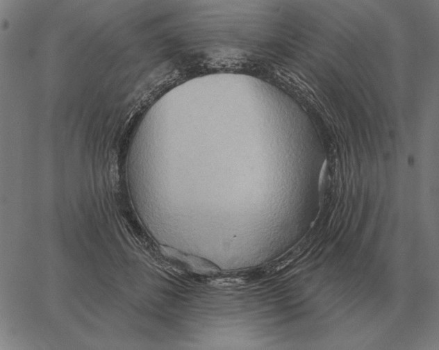 X0000062890508200602101745