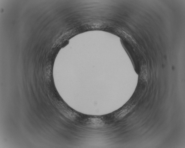 X0000062890509200602101744