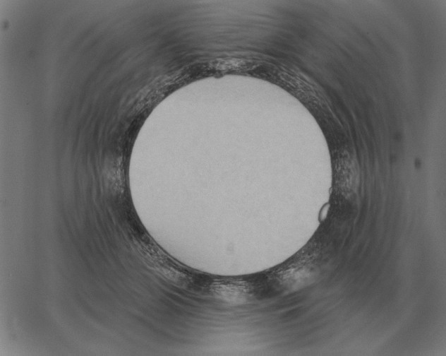 X0000062890510200602101744