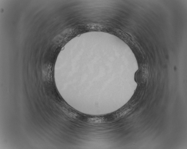 X0000062890511200602101744