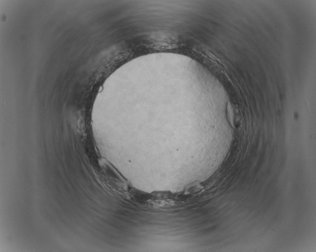 X0000062890512200602101744