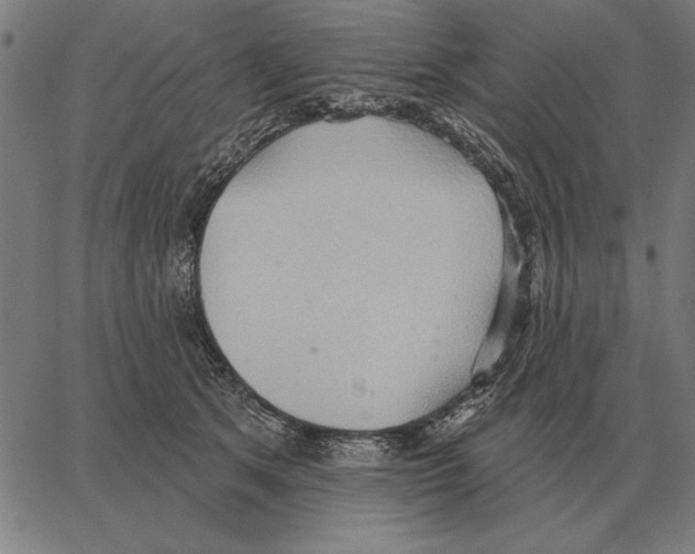 X0000062890513200602101744