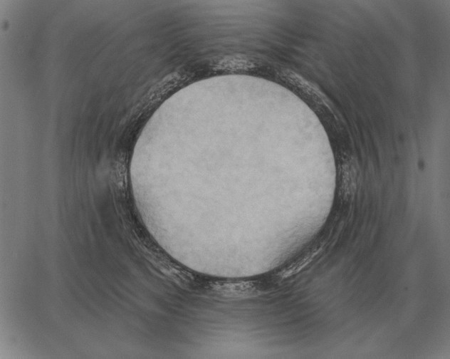 X0000062890517200602101744