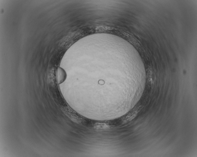 X0000062890519200602101744