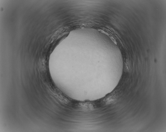 X0000062890520200602101744