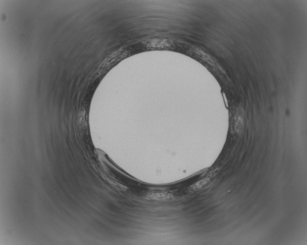 X0000062890521200602101744