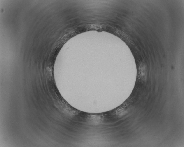 X0000062890522200602101744